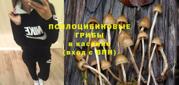 mdpv Липки