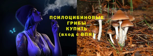 mdpv Липки